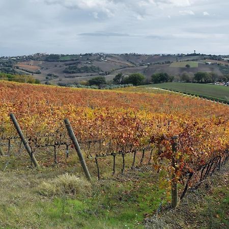 Agriturismo Al Rifugio Divino Belvedere Ostrense 외부 사진