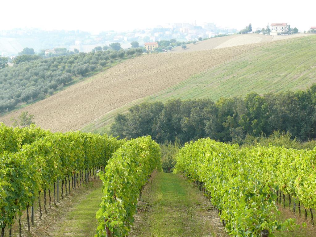 Agriturismo Al Rifugio Divino Belvedere Ostrense 외부 사진